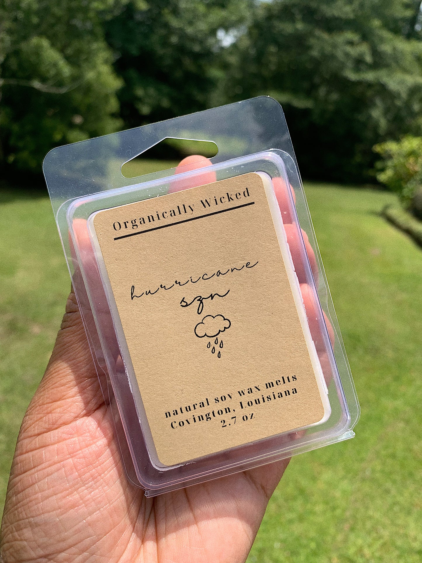 Soy Wax Melts - 2.7oz