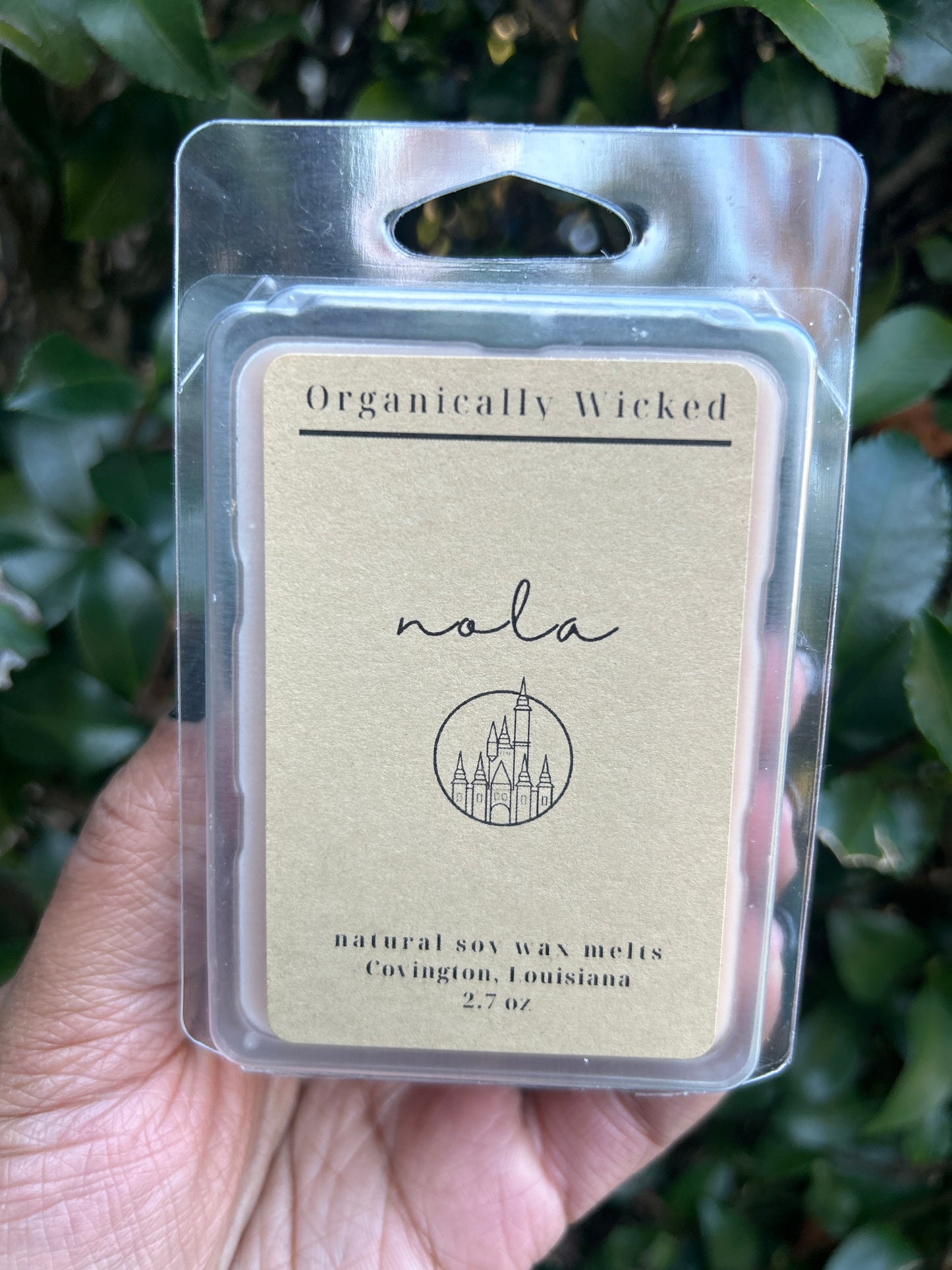 Soy Wax Melts - 2.7oz