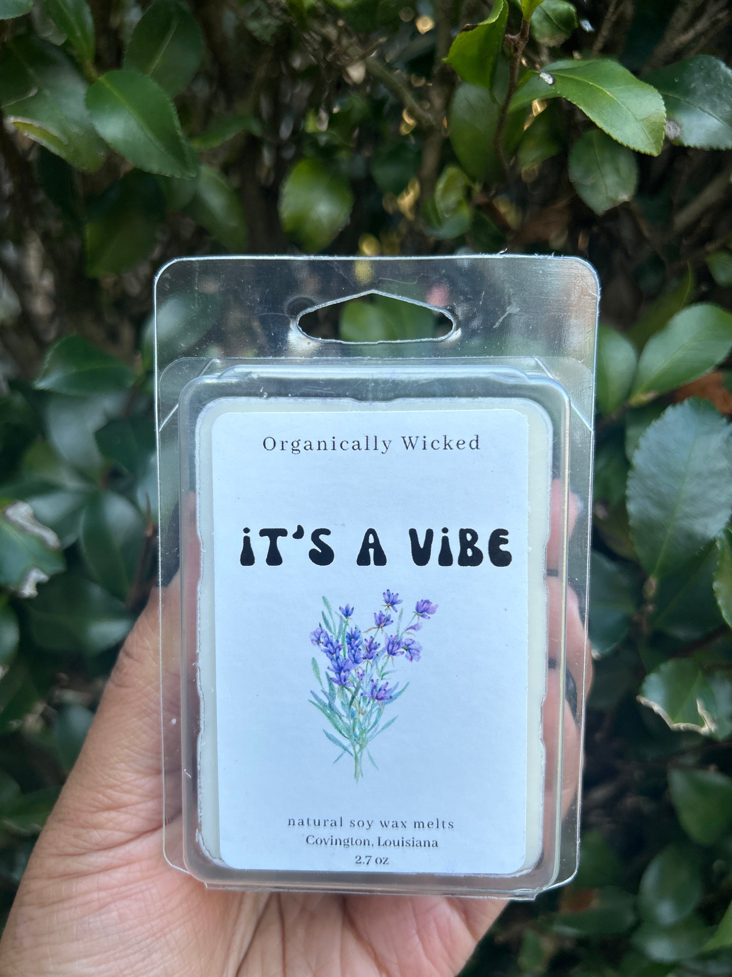 Soy Wax Melts - 2.7oz