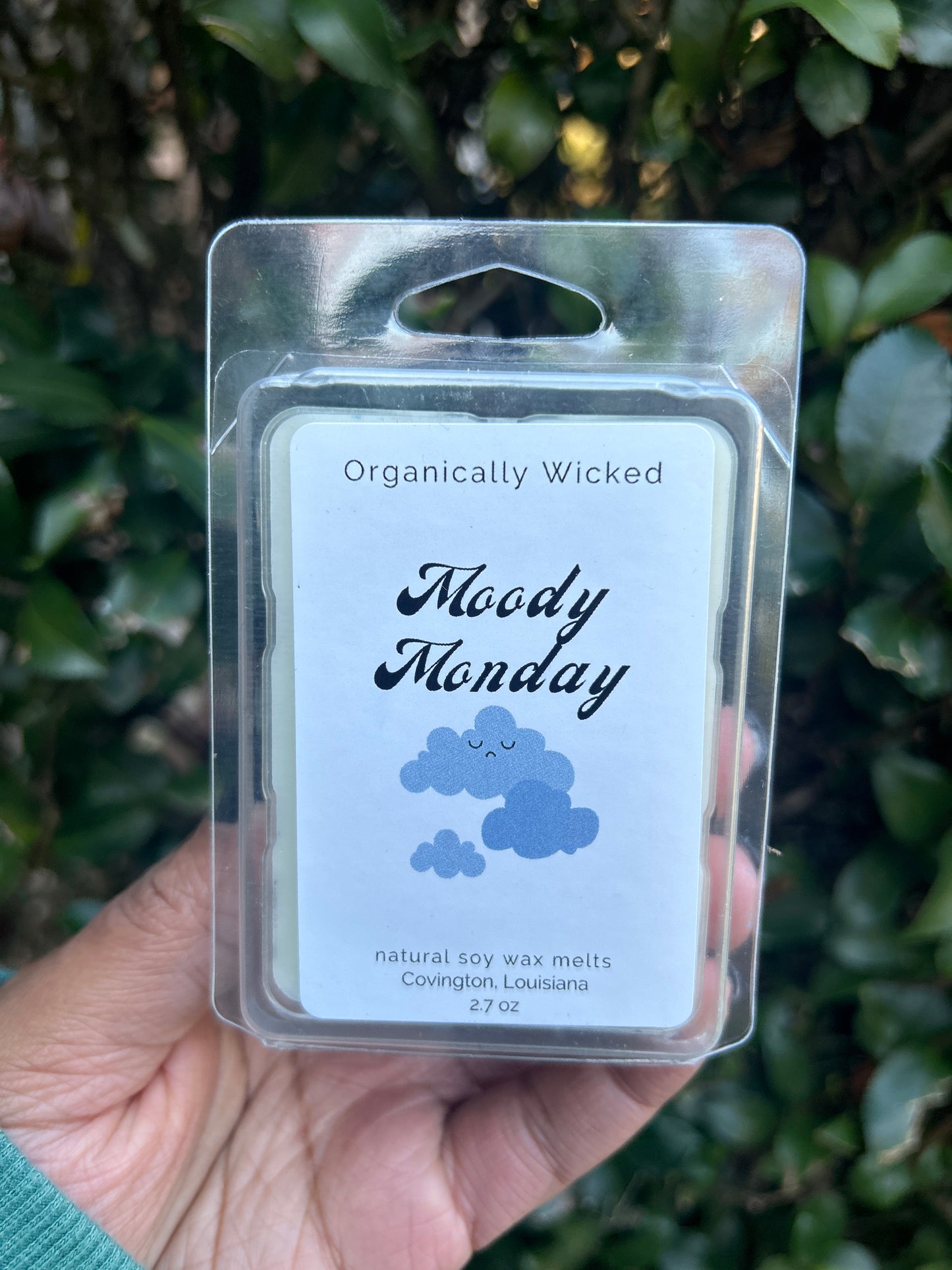 Soy Wax Melts - 2.7oz