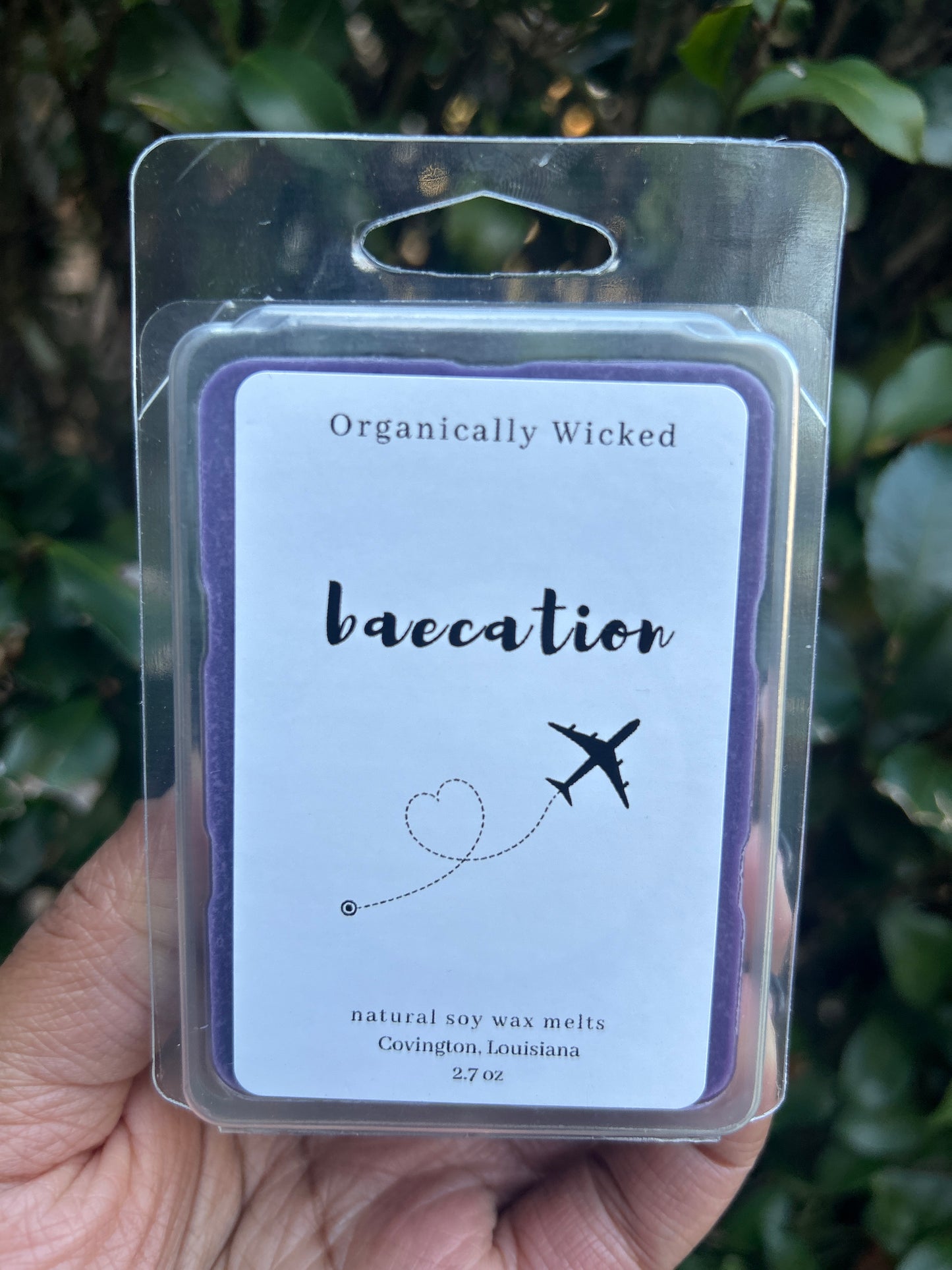 Soy Wax Melts - 2.7oz