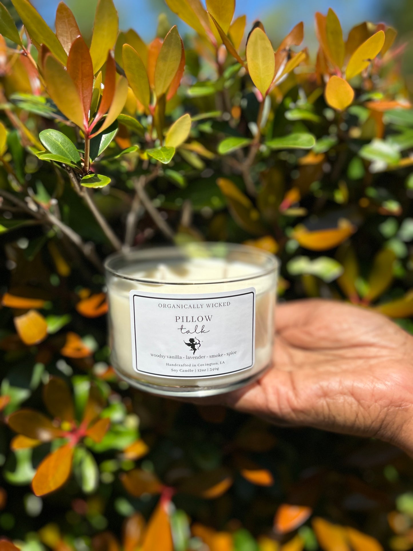 12oz Double Wicked Soy Candle