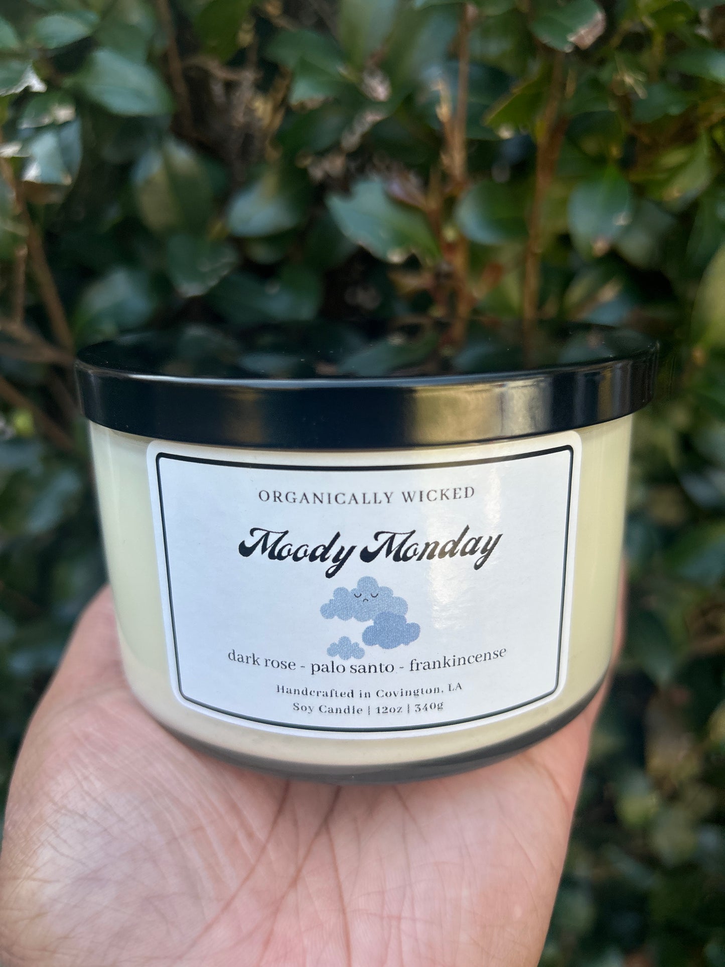 12oz Double Wicked Soy Candle