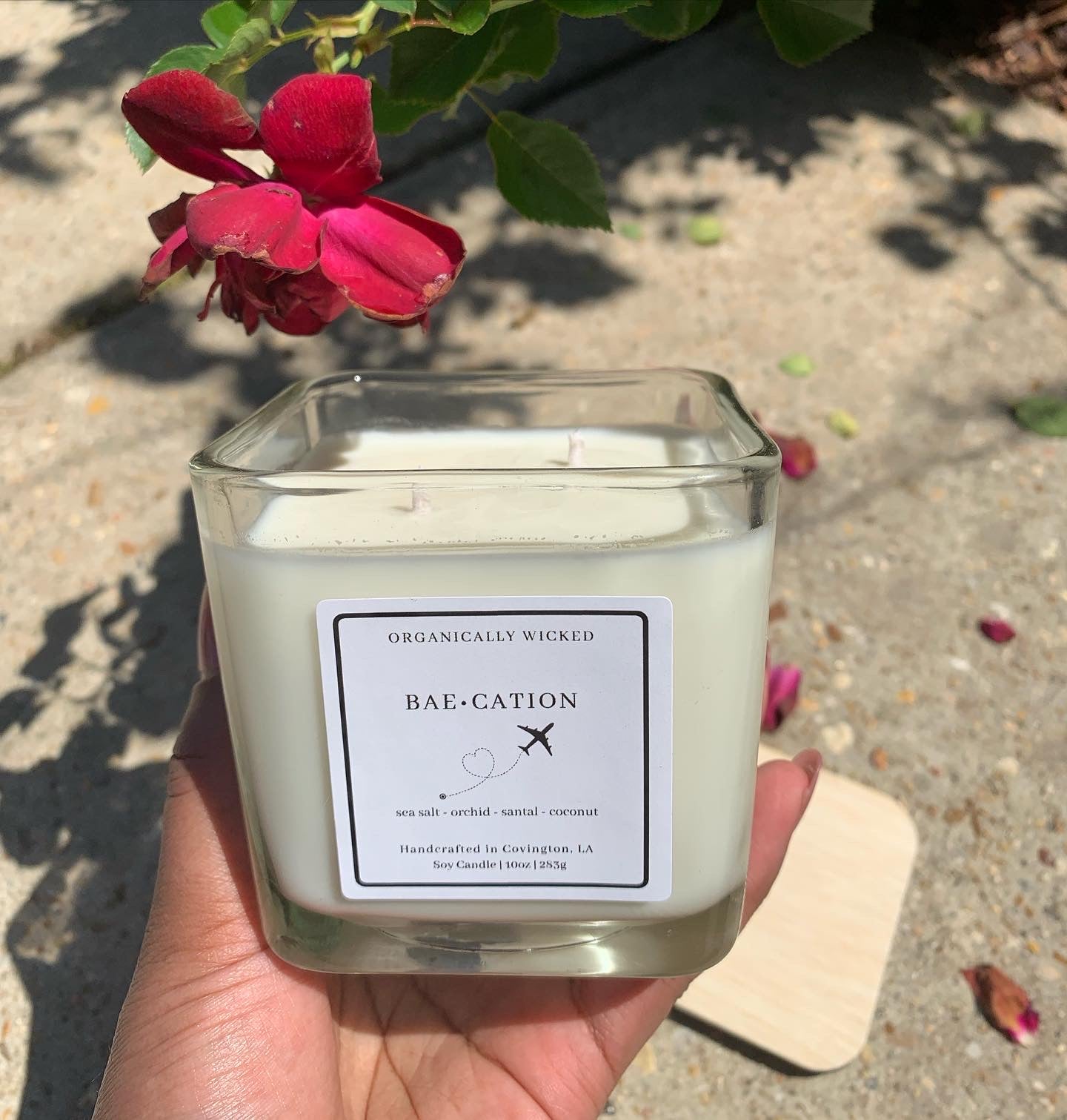 Double Wicked Soy Candle 10oz - Organically Wicked