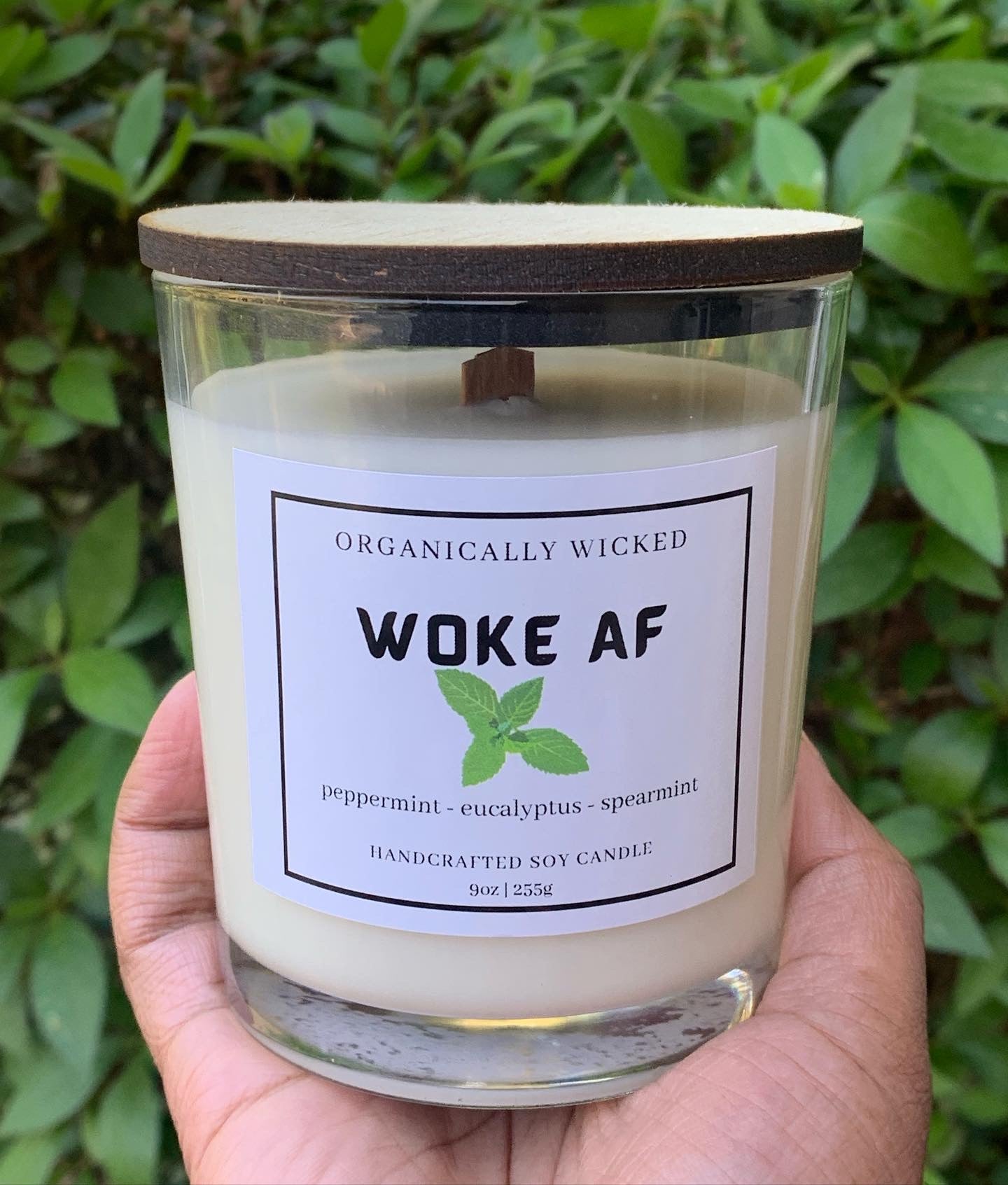Soy Wax Melts – Organically Wicked