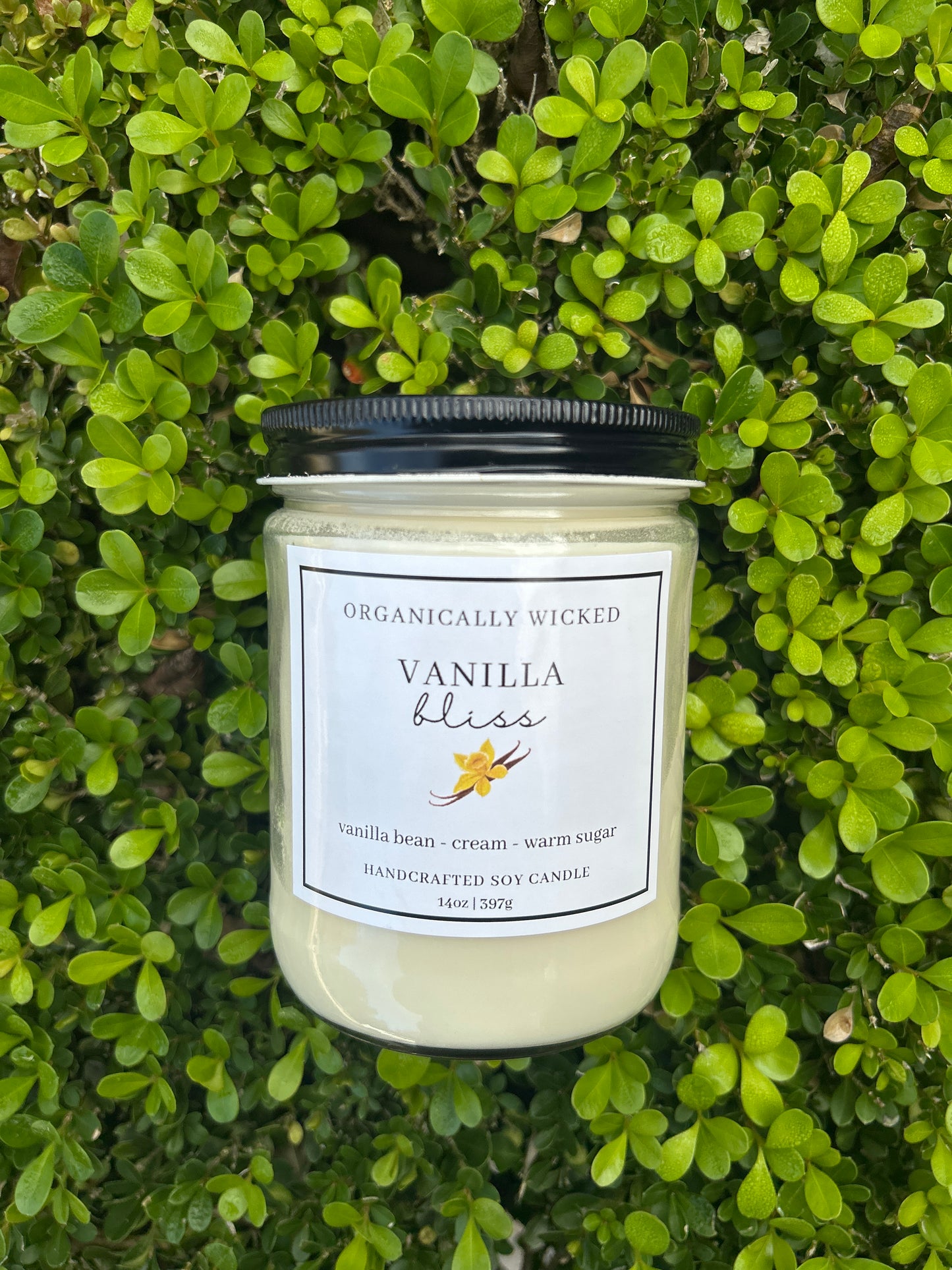 Clear Soy Candle - 14oz