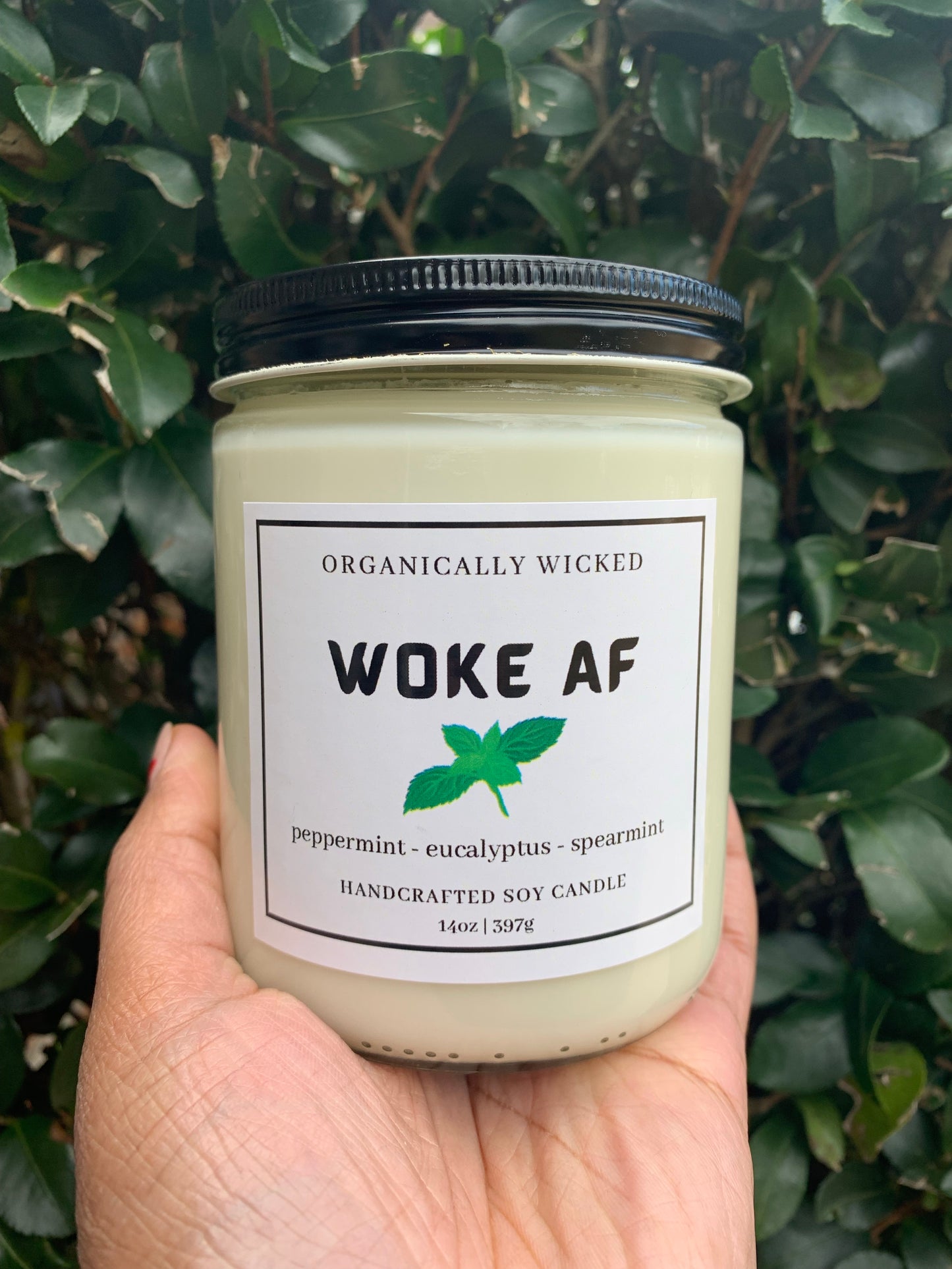 Clear Soy Candle - 14oz - Organically Wicked